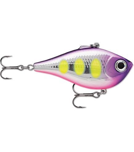 Amazon.com : Rapala Rippin' Rap 07 Voodoo Haze : Sports & Outdoors