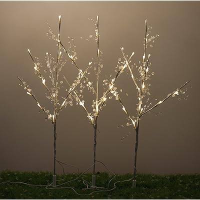 Imagem Ilustrativa do Página Stake3