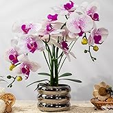 JARELING Artificial Orchids Flowers with Vase for Table Centerpieces, Real Touch Faux White Orchid Phalaenopsis in Ceramic Vase for Home Wedding Kitchen Decoration (Silver Vase, White Purple)