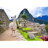 Fmarui Machu Picchu Backdrop for Photography Lost City Ruins Peru Travel Backgrounds Party Decor Photoshoot Props, 5X3FT