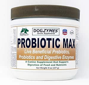 best for teething puppy