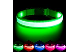 Vizpet LED Dog Collar, Light Up Dog Collar Adjustable USB Rechargeable Super Bright Safety Light Glowing Collars for Dogs(Large,Green)