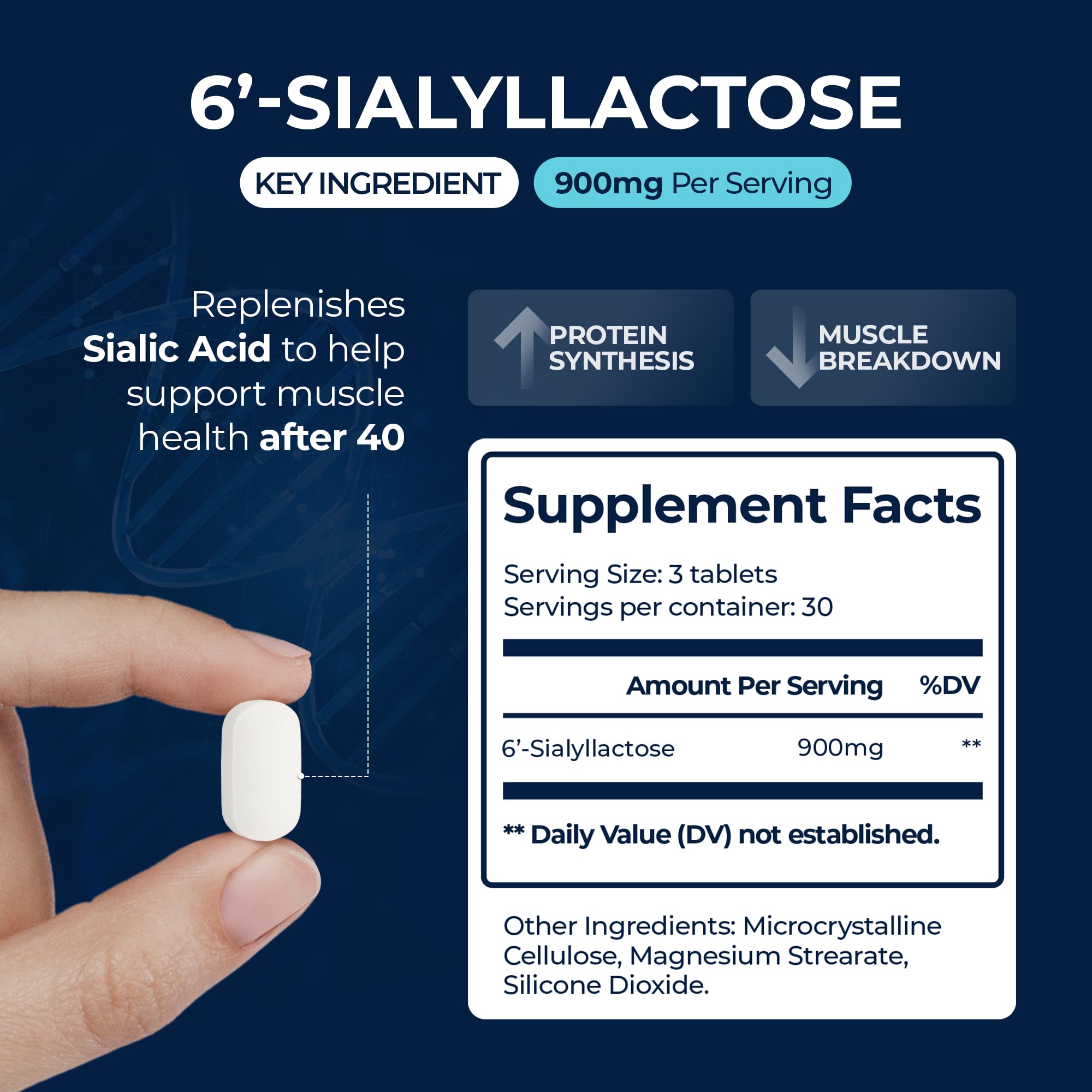 Muscle Health - Made in USA - Enhance Muscle Mass & Strength, Fast Workout Recovery, Reduce Fatigue & Boost Exercise Performance, 6-Sialyllactose (6-SL), 900mg, 90 Tablets