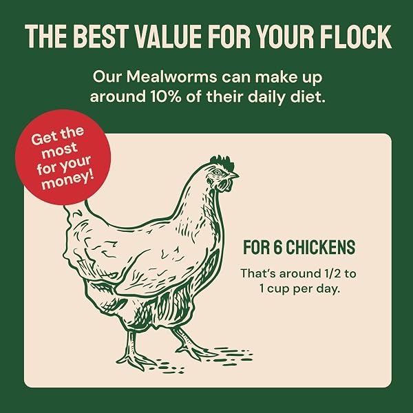 HATORTEMPT 10LB SPICED MEALWORMS FOR CHICKENS WITH DIGESTIVE MIX