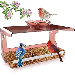 WENMIXER Window Bird Feeder with Non-Marking