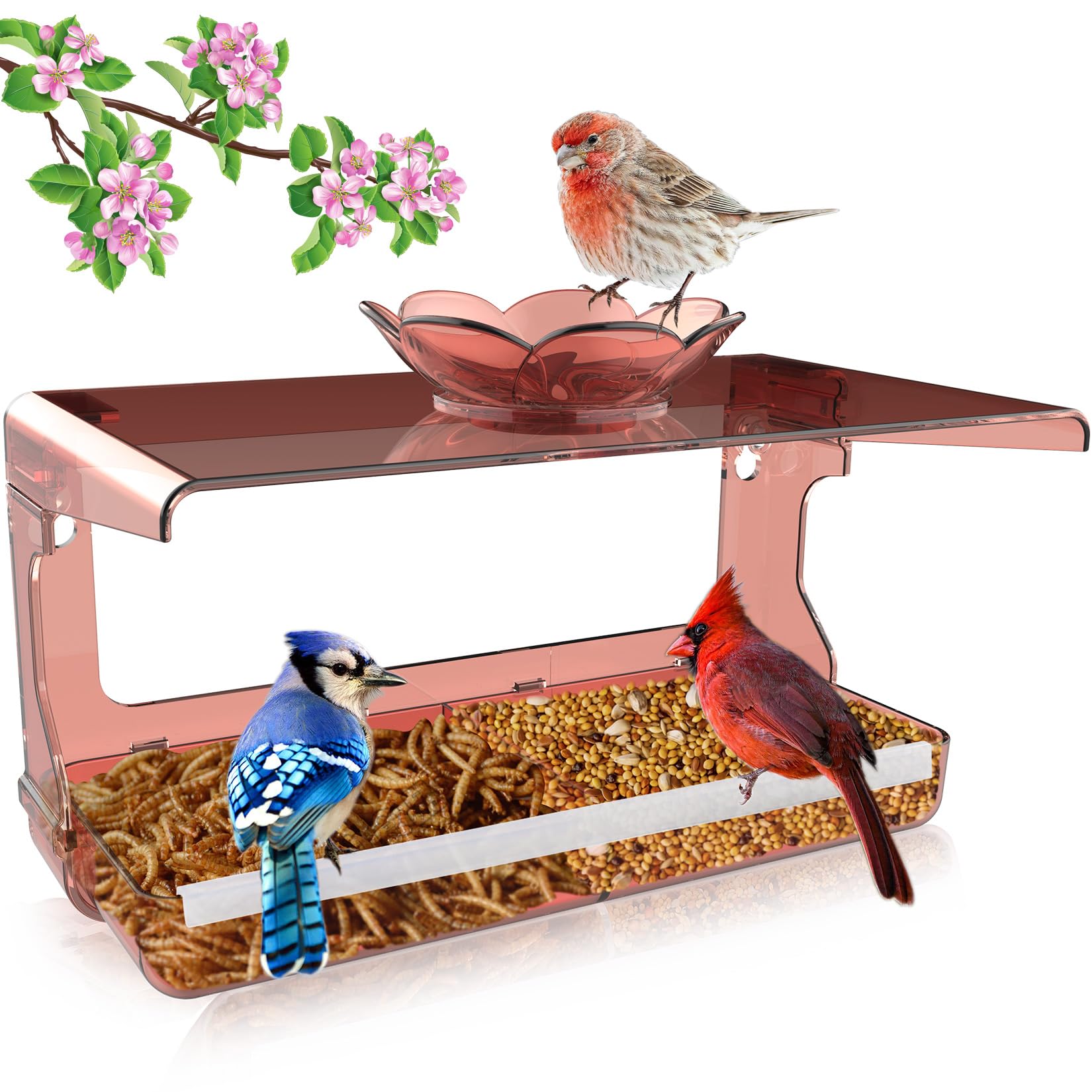 WENMIXER Window Bird Feeder with Non-Marking