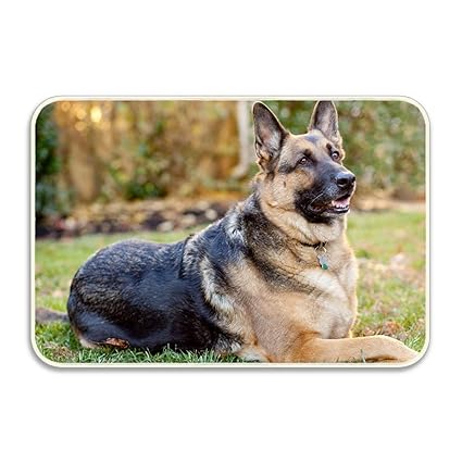 Amazon Com Penny Mccarthy Custom German Shepherd Doormat