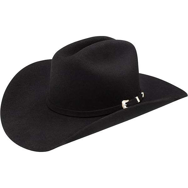 Stetson Revenger Black SBRVGR-463407 at Amazon Men's
