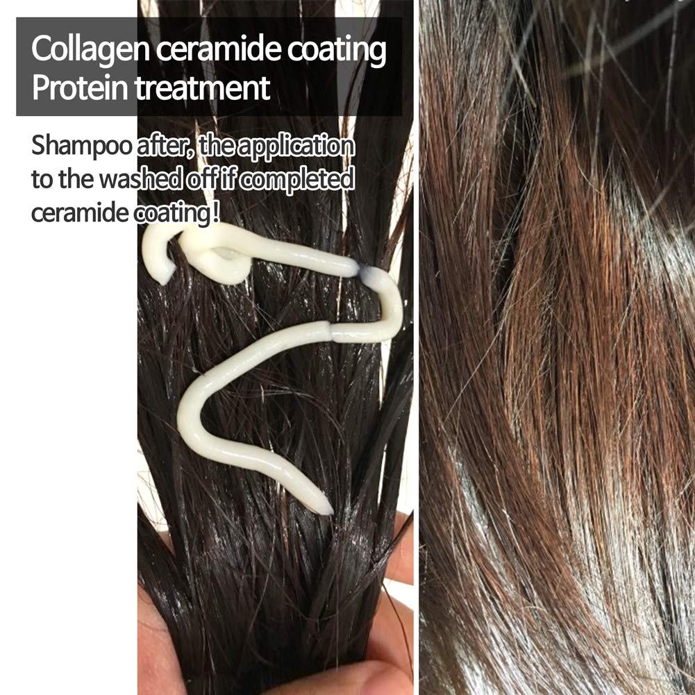 Elizavecca CER-100 Collagen Coating Hair Protein Treatment 100ml / hair treatment before and after / hair pack before and after / hair mask : Beauty
