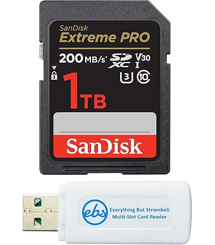 SANDISK SDSDXXY-1T00-JNJIP [1TB] 【公式通販】