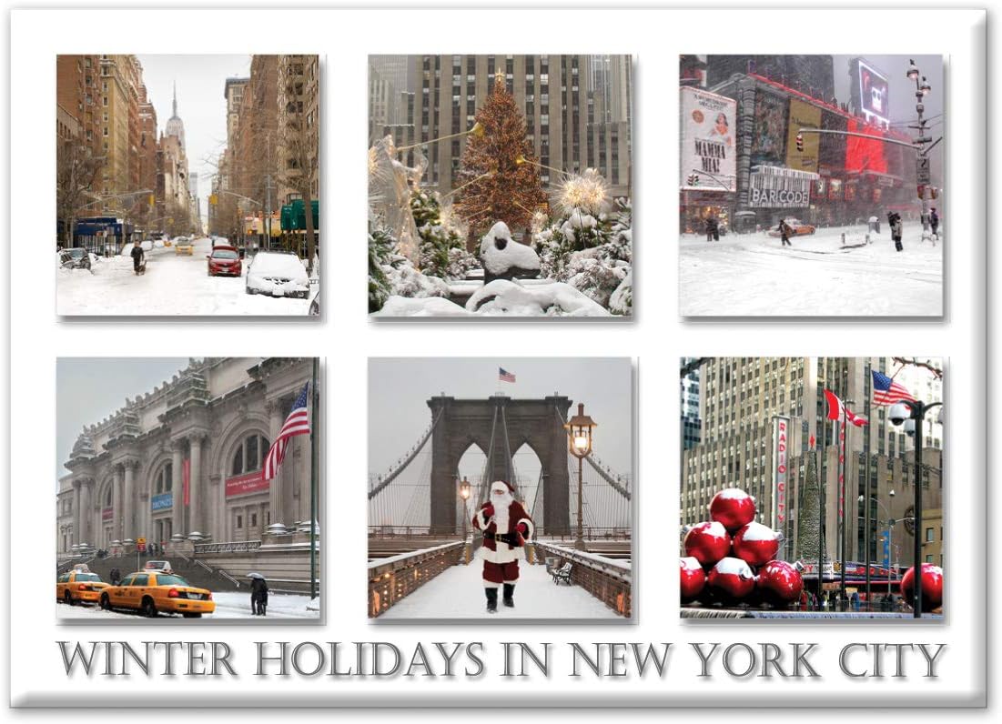 Best Central Park New York City Refrigerator Magnet