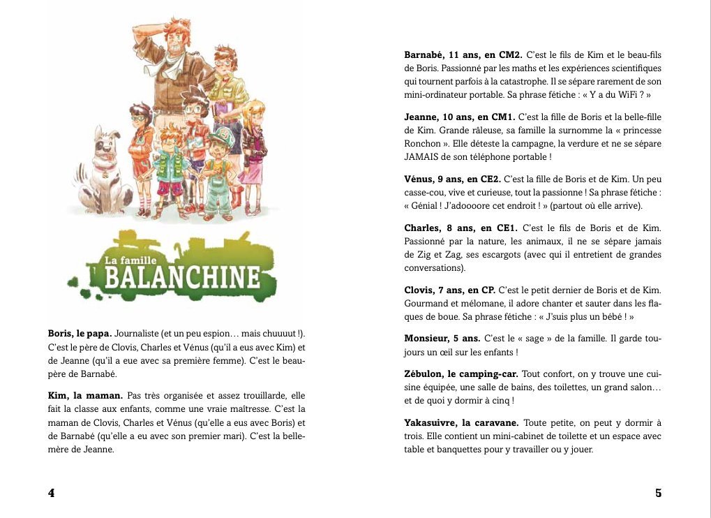 Incollables Roman Pour Revise Du Ce2 Au Cm1 P Bac Autres Azadie Sophie Amazon Com Books