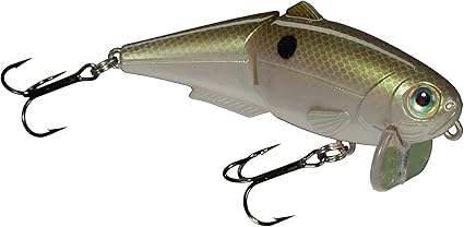 ram mount garmin striker 4