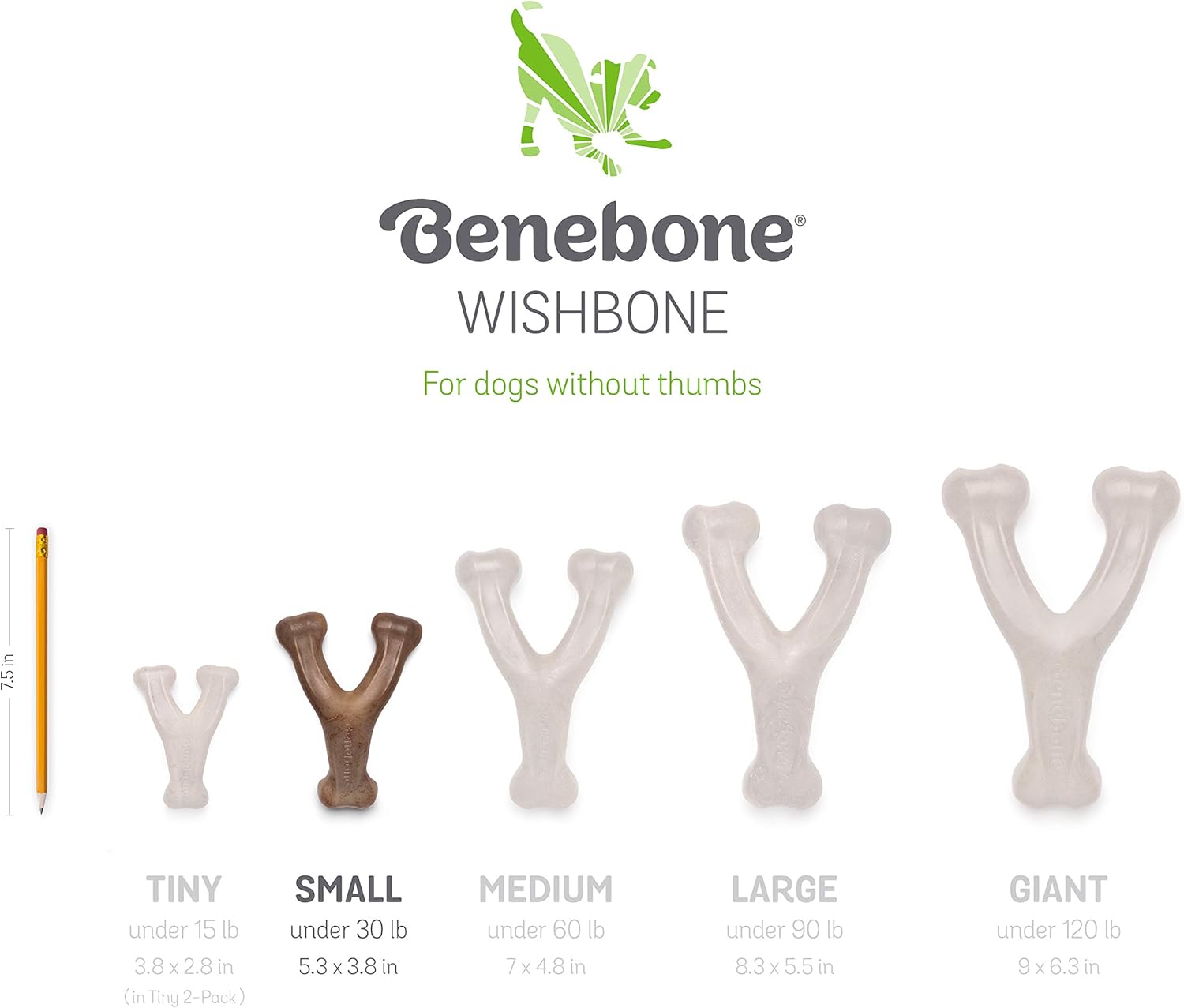 Pet Supplies : Benebone Wishbone Durable Dog Chew Toy for Aggressive Chewers, Made in USA, Small, Real Bacon Flavor : 