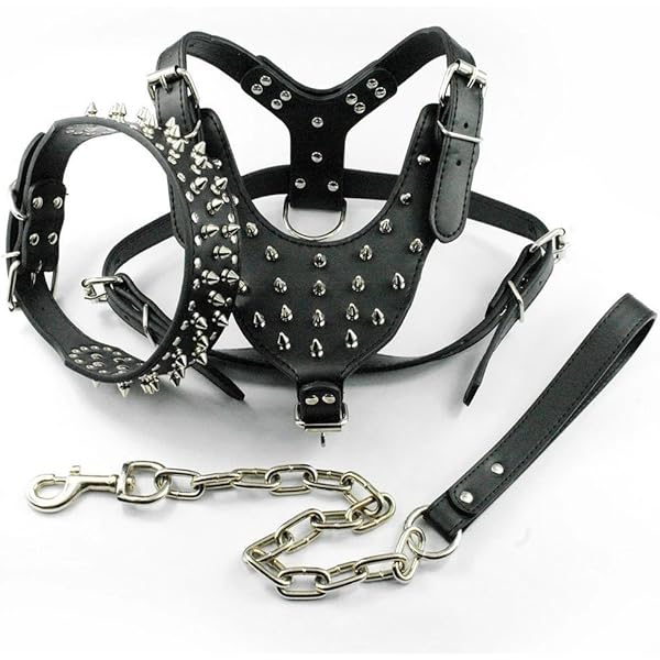 spiked dog collars and harnesses
