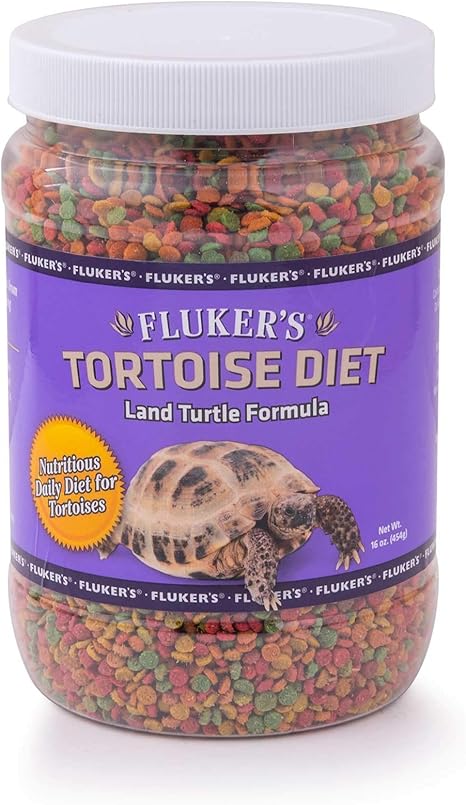 small tortoise food