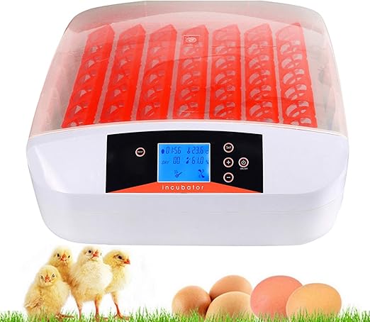 Amazon.com : OppsDecor Egg Incubator, 56 Eggs Digital Incubator with