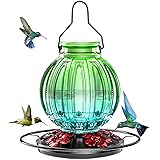 Glass Hummingbird Feeder for Outdoors Hanging, Bird