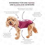 BellyGuard Dog Recovery Suit After Surgery Cozy Bodysuit view 5