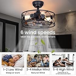 MOBEYU 16.5''Caged Ceiling Fan with Light,Low
