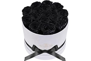 PRIFROTI Forever Real Roses in Suede Box - 17-Piece Roses in a Box - Real Preserved Roses That Last Over a Year - Preserved Flowers for Delivery Prime - Valentine's Day, Birthday, Mother's Day (Black)