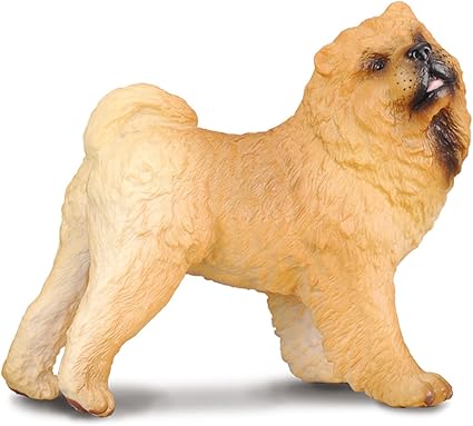 chow chow toy dog