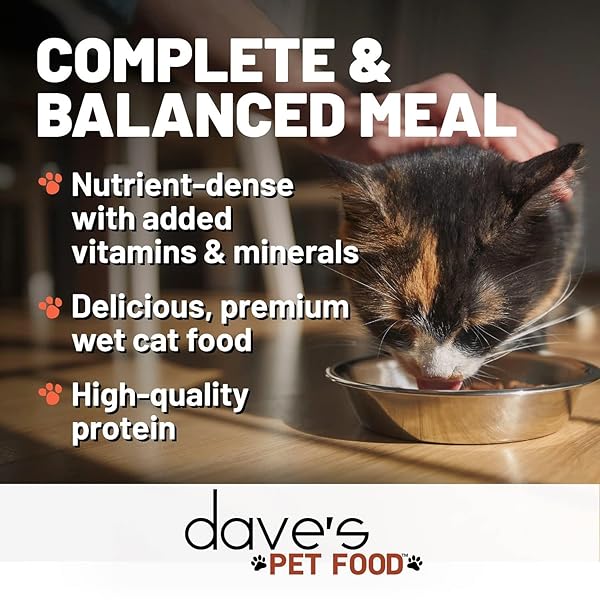 DAVE’S PET FOOD GRAIN FREE WET CANNED CAT FOOD (TURKEY), MADE IN USA NATURALLY HEALTHY, ADDED VITAMINS & MINERALS, GLUTEN-FREE, 12.5 OZ CANS