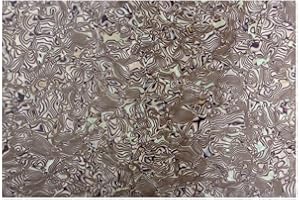 YIJUNHUI 3Ply Uncut "11x17" inch DIY blank guitar bass Pickguard scraper material 29x43cm (Bronze Shell)