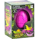 NURCHUMS Keycraft Large Stegosaurus Hatching Egg, Hatch and Grow Your Own Realistic Dinosaur (Large 4 inches)