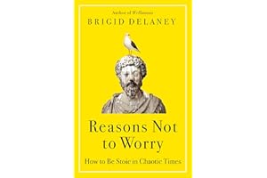 Reasons Not to Worry: How to Be Stoic in Chaotic Times―A Practical Guide to Stoicism for Self-Improvement and Personal Growth
