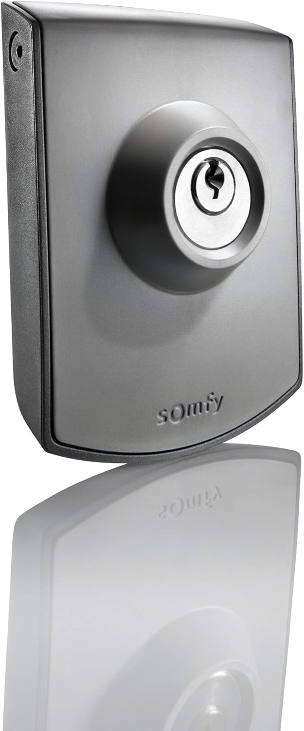 Somfy 2400597 - Wired Key Control, Grey