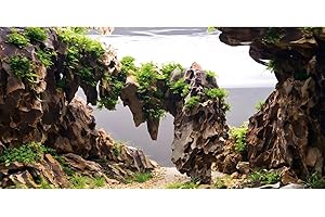 AWERT 48x24 inches Viewing Stone Fish Tank Background Aquatic Plant River Bed & Lake Aquarium Background Seaweed Aquarium Vinyl Background
