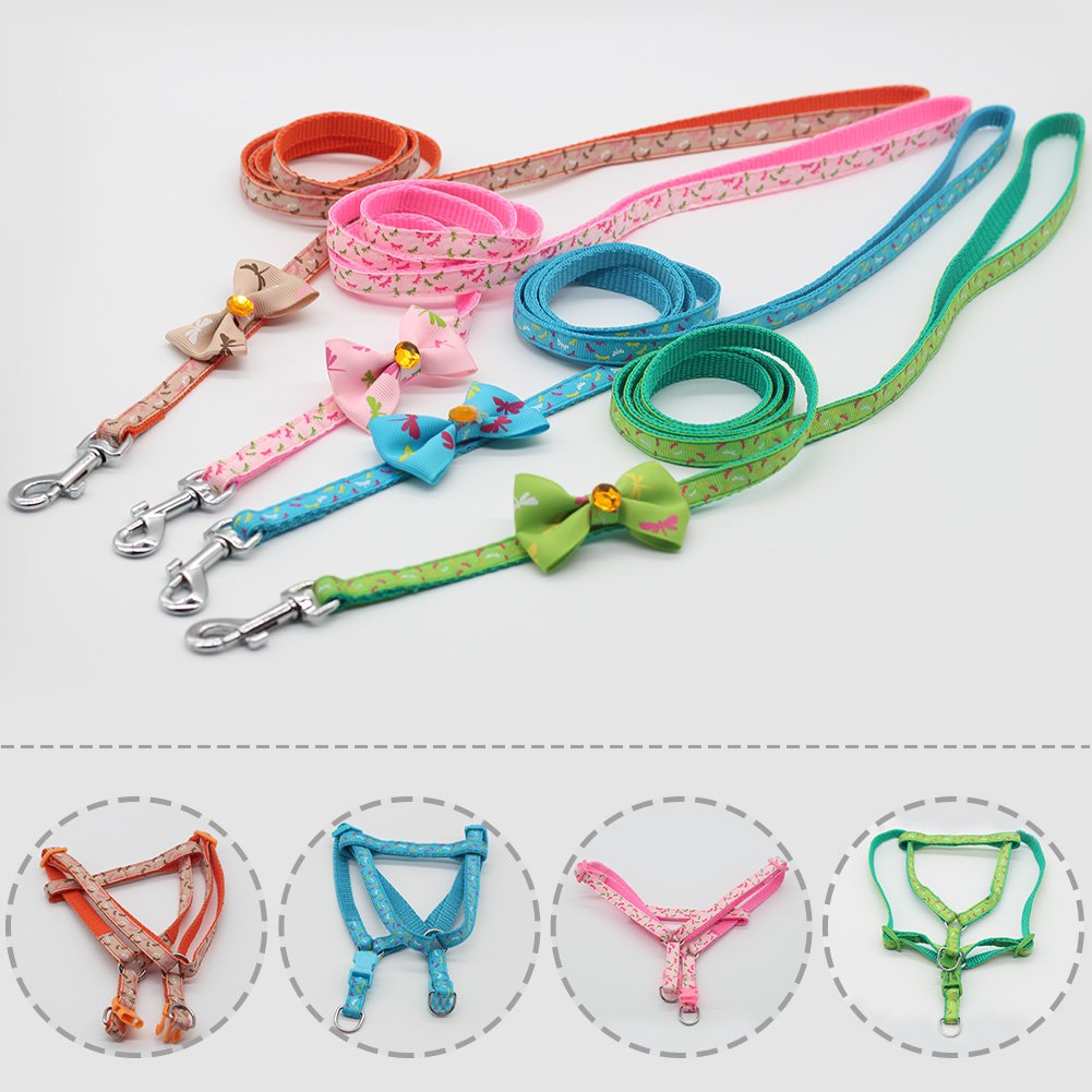 Pettorina Cane con Guinzaglio di Nylon, Durevole Regolabile Imbracatura per Cani, Guinzaglio per Portare il Cane a Passeggio, Verde