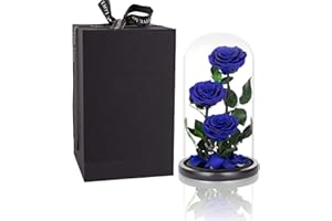 PERFECTIONE ROSES Preserved Roses Handmade Preserved Real Rose in Glass Dome, Blue Rose Never Withered Gifts for Her, Valentine's Day, Mother's Day, Birthday, Christmas, Anniversary(13 inch)