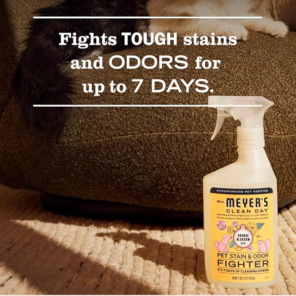 MRS. MEYER’S CLEAN DAY PET STAIN & ODOR FIGHTER, ORANGE BLOSSOM SCENT, 16OZ