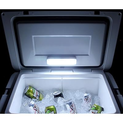 Cornucopia Brands LED Motion Activated Cooler Light, Kuwait Ubuy