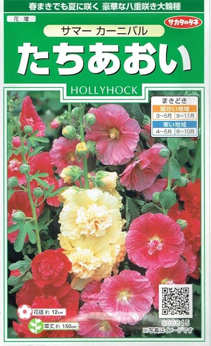 Amazon サカタのタネ たちあおい サマーカーニバル 花