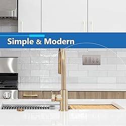 LIDER Brushed Finish Decorator Switch