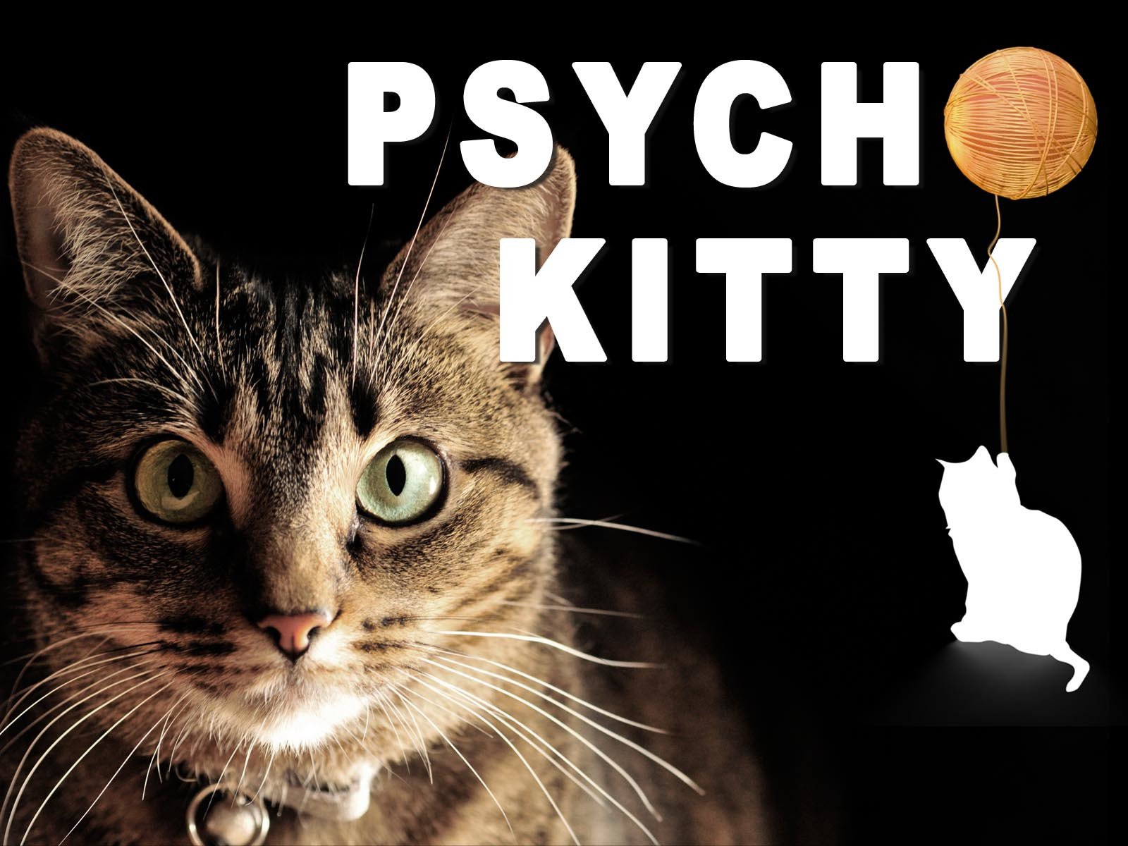 true touch dog grooming glove