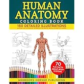 Human Anatomy Coloring Book: 150 Detailed Illustrations & 70 Fascinating Facts in an Anatomy and Physiology Workbook for Adults, Medical Students, & Nurses Focused on Advanced Body Systems Learning