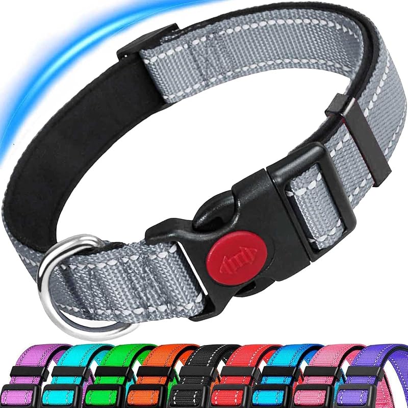 ATETEO Reflective Adjustable Dog Collar with Soft Neoprene Padding 13-19.7in