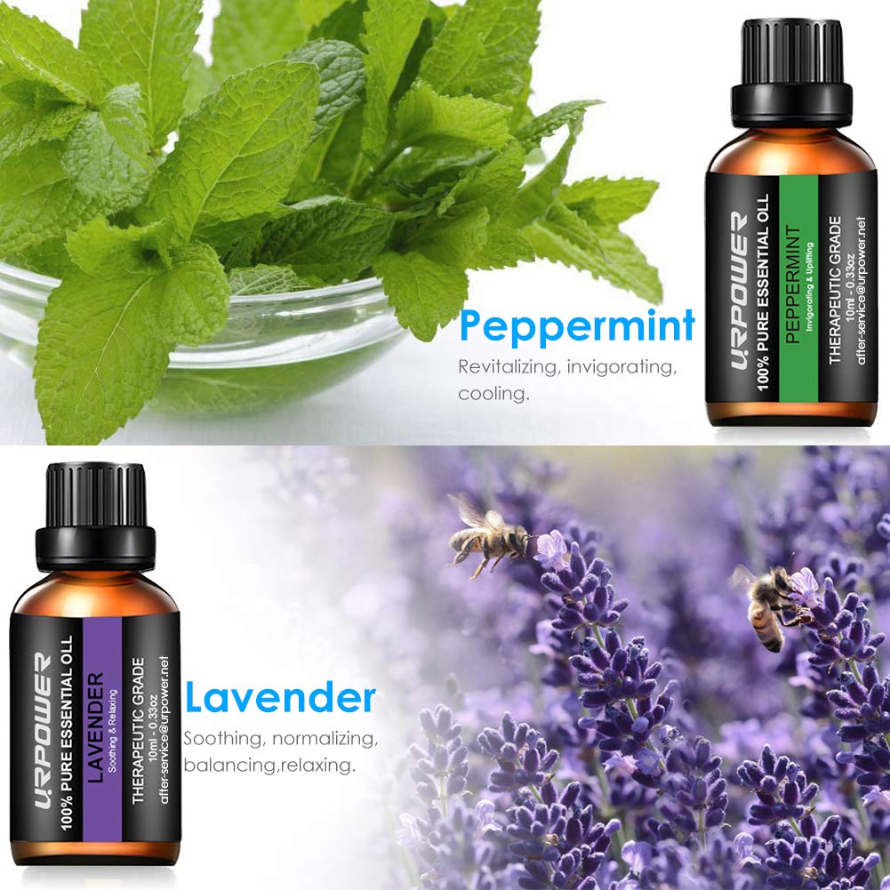 URPOWER Essential Oils Top 8 Aromatherapy Essential Oils 100% Pure Therapeutic Grade Essential Oils Set Lavender/Peppermint/Tea Tree/Orange/Eucalyptus/Lemongrass/Frankincense/Rosemary: Health & Personal Care