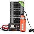 ECO-WORTHY Solar Submersible Pump Kit, 100W Solar Panle Kit and 12V DC Deep Well Pump-100ft/30m