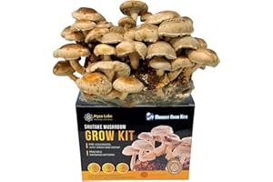 MYCO LABS Shiitake Mushroom Grow Kit (5.5lbs) Grow Your Own Mushrooms at Home | Easy Indoor Grow Bag Kit