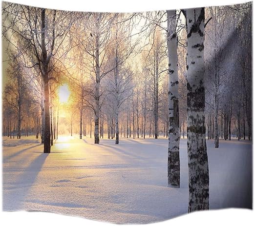 Maison Decoration Interieure Paysage D Hiver Neige Scene Toile Mur Art Image Toutes Tailles Et Couleurs