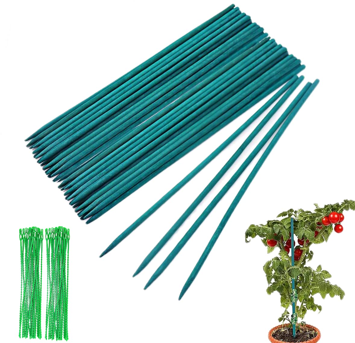 Garden Stakes Bamboo Sticks Plant Support Sticks with 100 Pcs Twist Ties, Green Plant Stakes 17 inch Plant Canes Sticks for Garden or Home Floral Picks Gardening Tripods Making