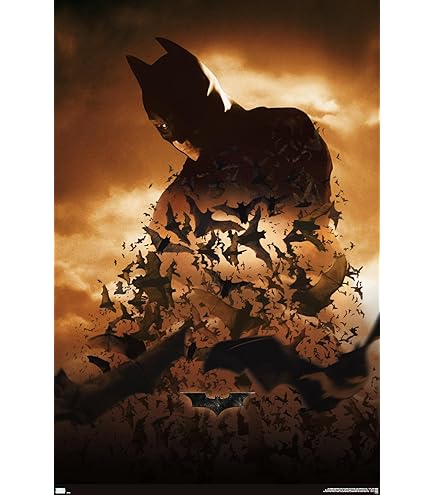 Amazon.com: Trends International DC Comics Batman Begins