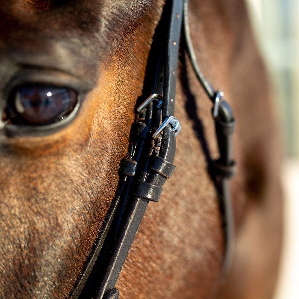 HORZE Weston Flash Bridle w/Reins: Sports & Outdoors