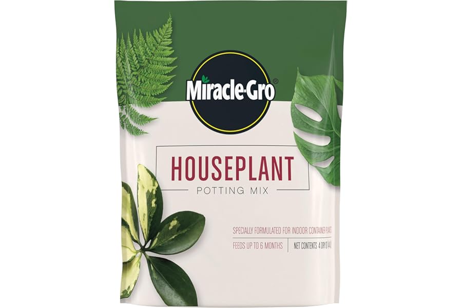 Best Indoor Houseplant Potting Mix for 2026