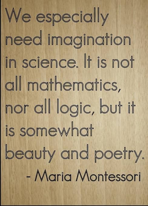 Nous Avons Surtout Besoin Imagination En Citation Par Maria Montessori Grave Au Laser Sur Plaque En Bois Dimensions 3 X 25 4 Cm Amazon Fr Cuisine Maison